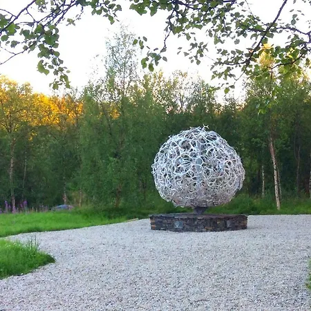 Wild Caribou's Wildwood * Lakselv