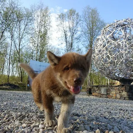 Jaktstuga Wild Caribou's Wildwood