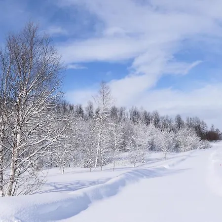 Wild Caribou's Wildwood *