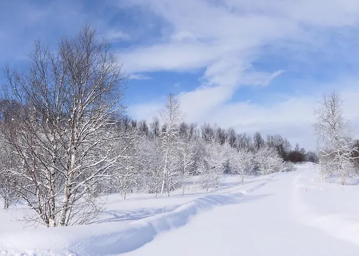 Wild Caribou's Wildwood *