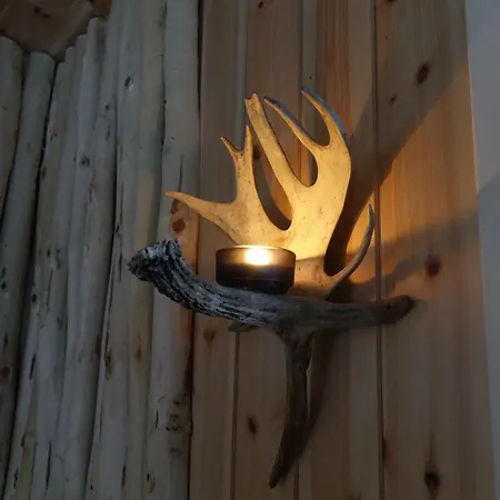 Wild Caribou's Wildwood Лаксэльв